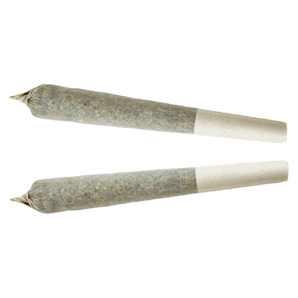 XPLOR Sativa Pre-roll