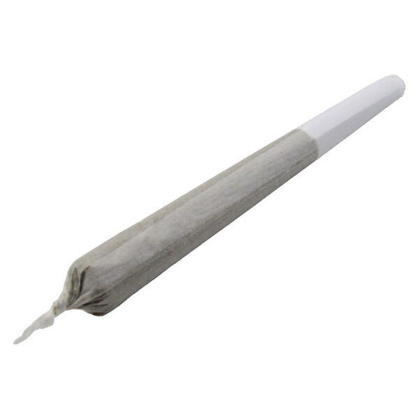 Romulan Grapefruit Pre-roll