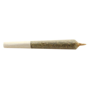 Big Buddy Indica Pre-Roll