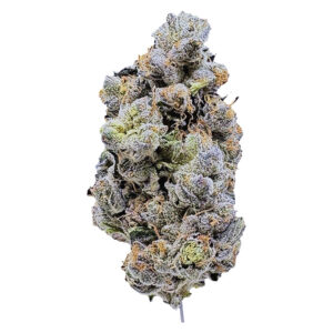 Platinum Blue Gellati