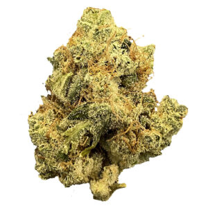 Mailman Strain: Ultraviolet Gmo