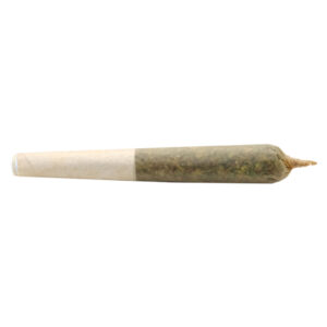 Lil Buddy Indica Pre-Roll