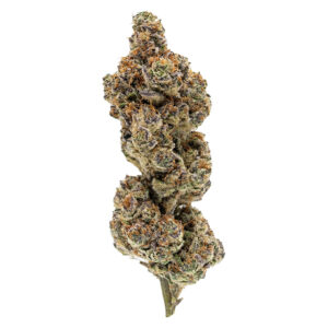 Payday Pack