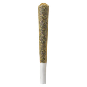 Break Time - Pre-Roll