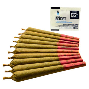 Stargals Pre-Roll