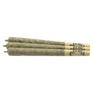 Animal Face Pre-Roll