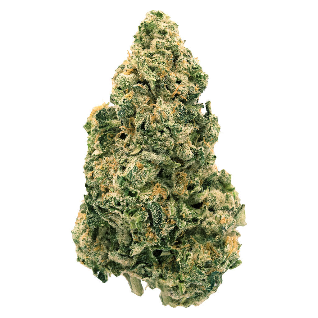 Galactic Jack