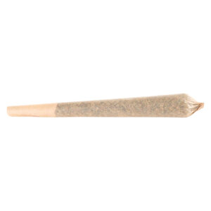 Mango Tango Pre-Roll