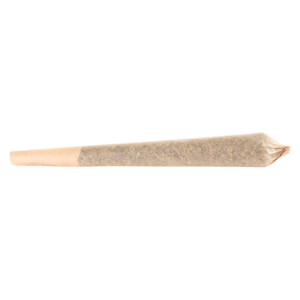 Mango Tango Pre-Roll