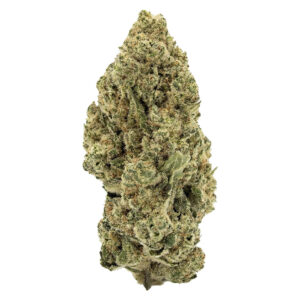 PayLess Indica